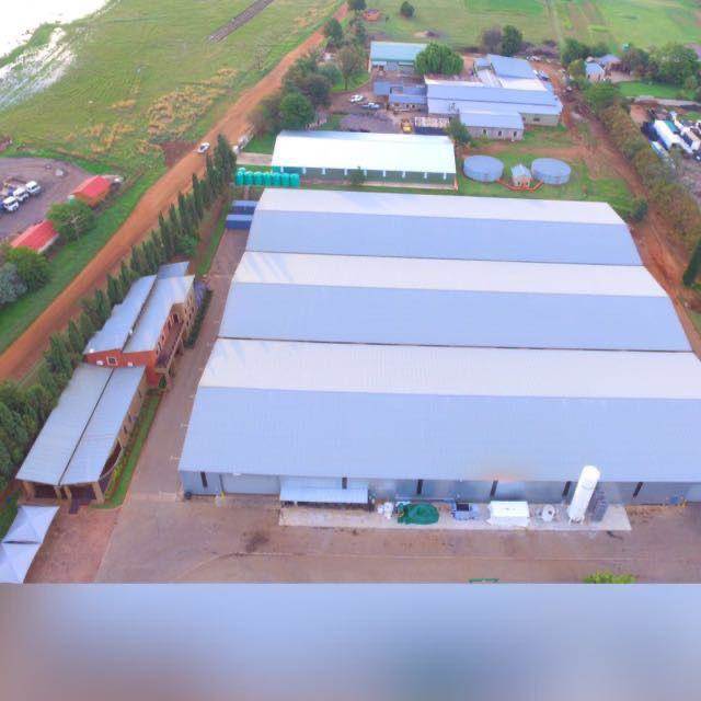 6000  m² Commercial space in Bapsfontein photo number 13