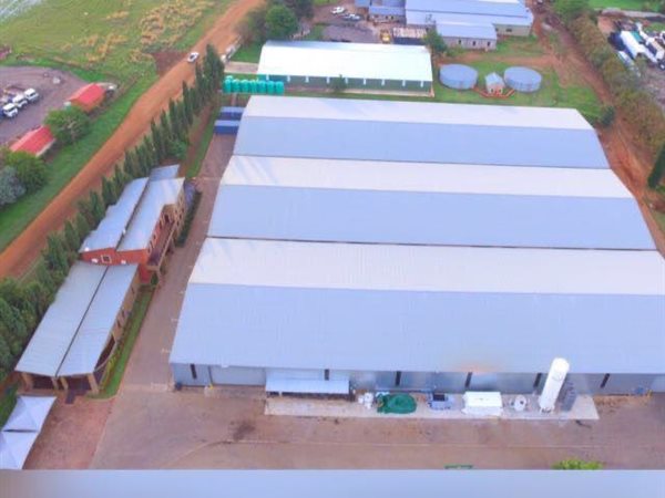 6000  m² Commercial space in Bapsfontein