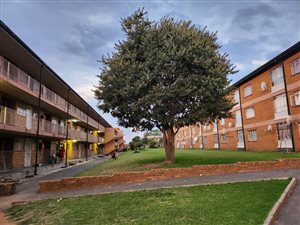 3 Bed Apartment in Crown Gardens