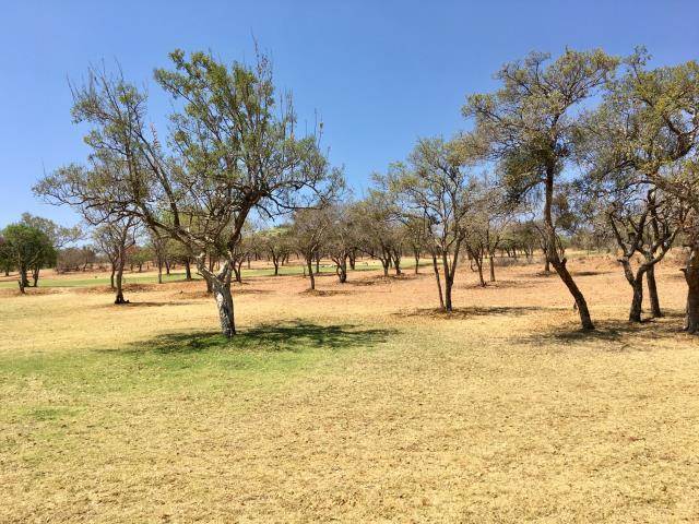 1000 m² Land available in Seasons Lifestyle Estate photo number 6