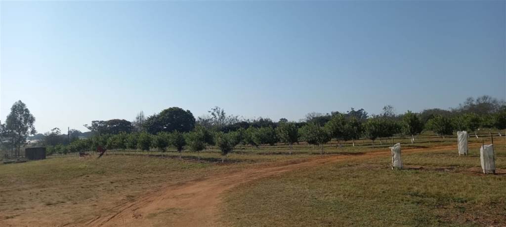 9.7 ha Land available in White River photo number 9