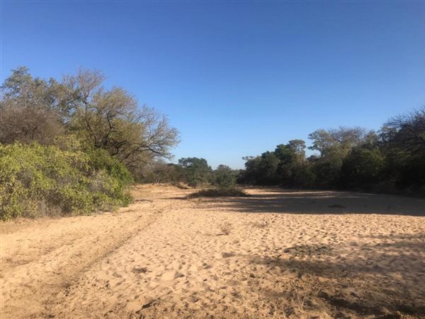 8124 m² Land available in Moditlo Nature Reserve