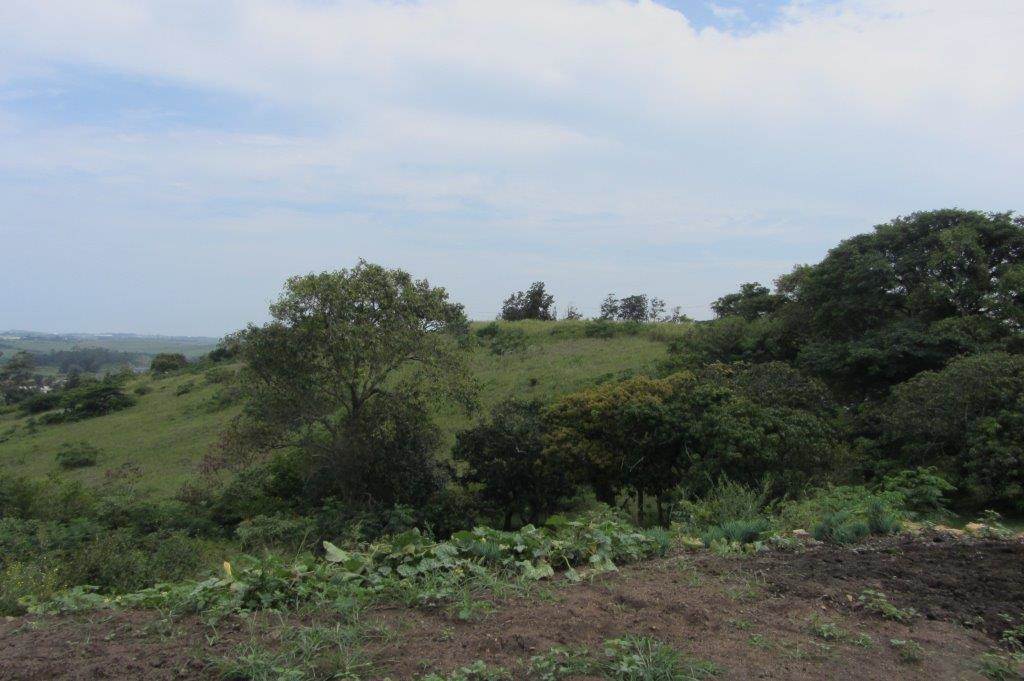 2223 ha Land available in Shakaskraal photo number 9