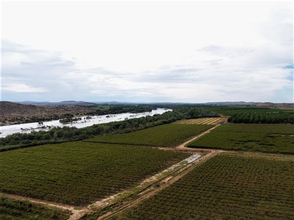 71 ha Farm 71 ha Farm