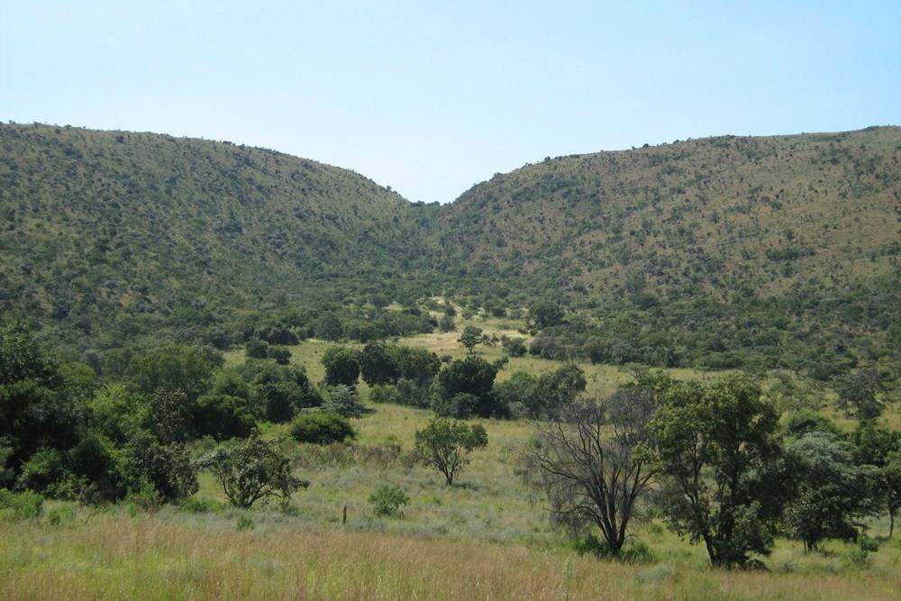 21.4 ha Land available in Mookgophong (Naboomspruit) photo number 6