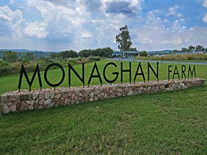 4628 m² Land available in Laezonia