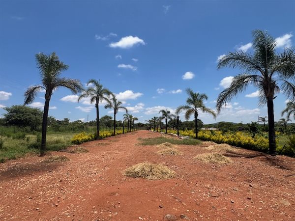 2 ha Farm 2 ha Farm
