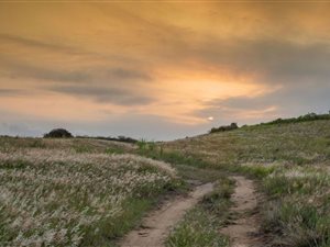 1683 m² Land available in Seaton Estate