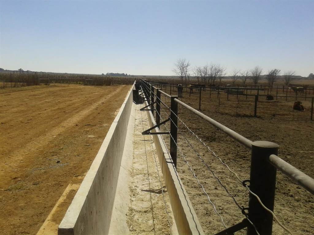 552 ha Farm in Potchefstroom Central photo number 14