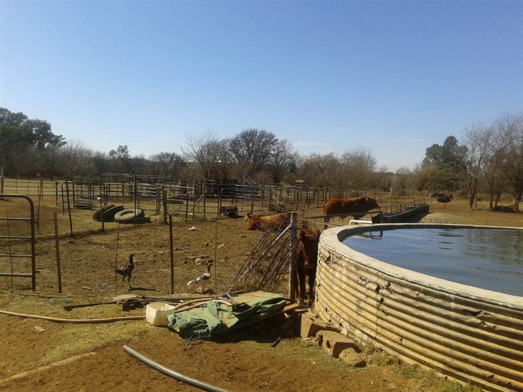 552 ha Farm in Potchefstroom Central photo number 11