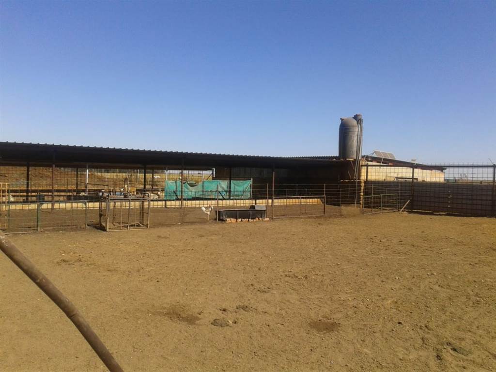 552 ha Farm in Potchefstroom Central photo number 12