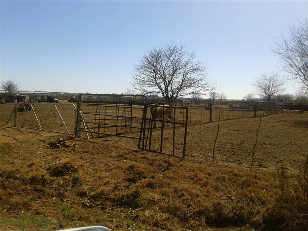 552 ha Farm in Potchefstroom Central photo number 25