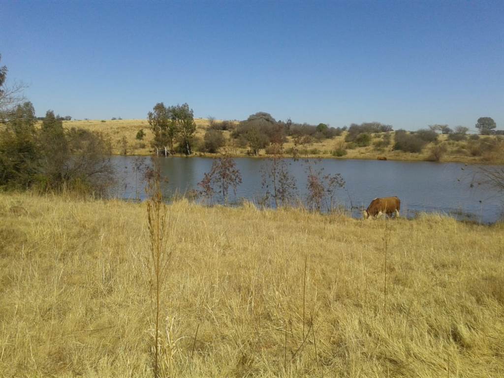 552 ha Farm in Potchefstroom Central photo number 17