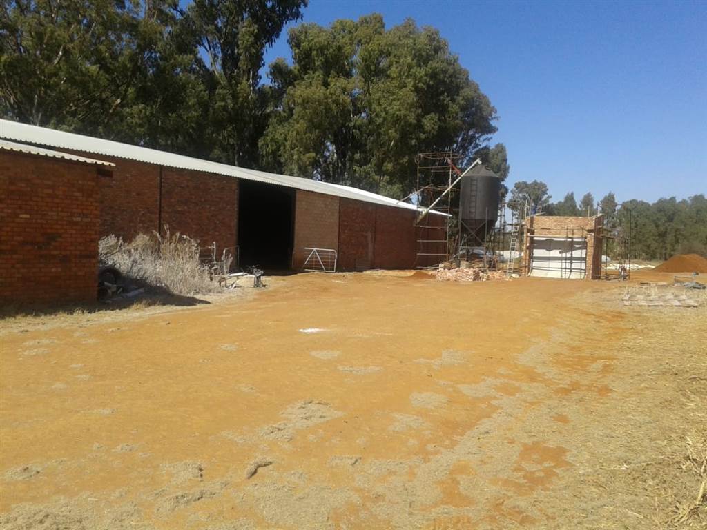 552 ha Farm in Potchefstroom Central photo number 21