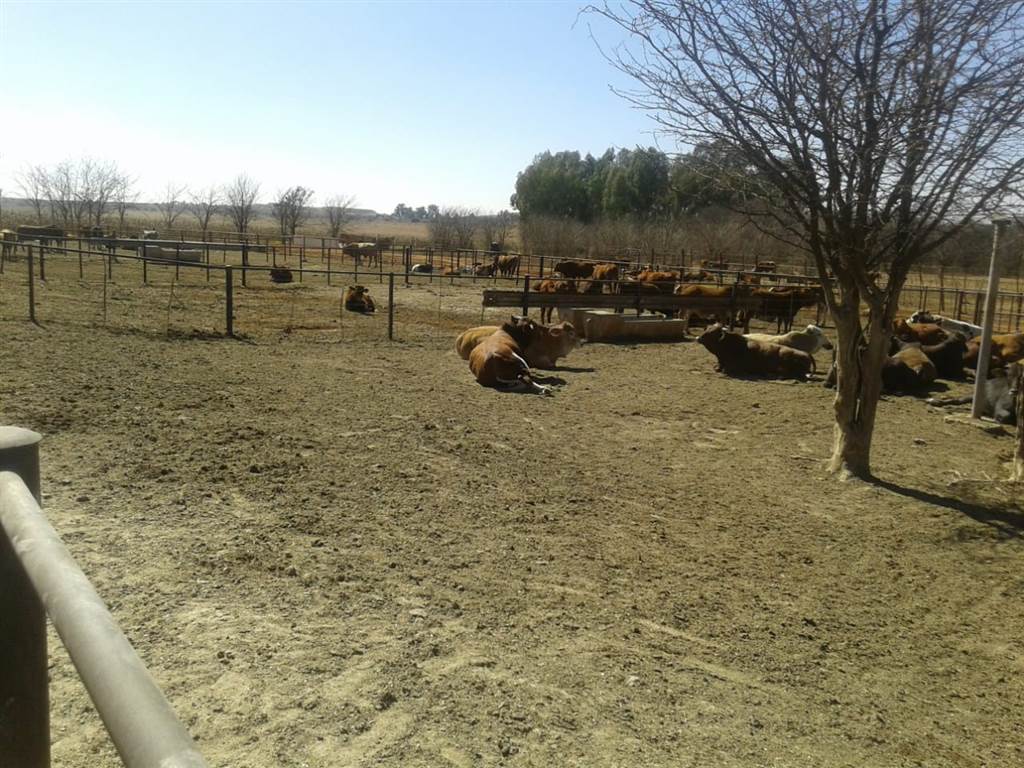552 ha Farm in Potchefstroom Central photo number 18