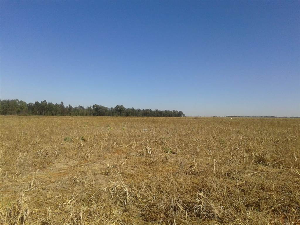552 ha Farm in Potchefstroom Central photo number 26