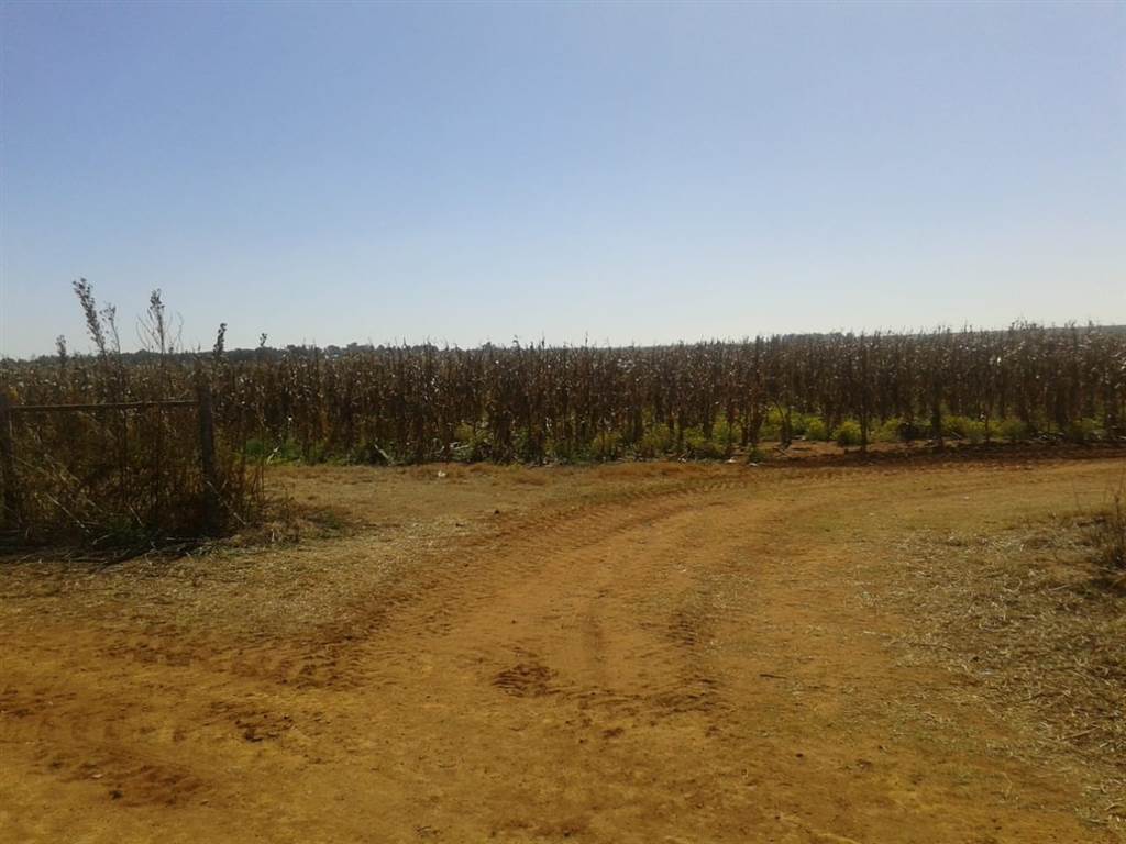 552 ha Farm in Potchefstroom Central photo number 15