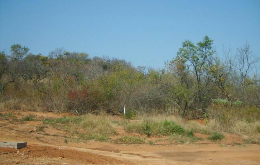 2086 m² Land available in Drum Rock photo number 7