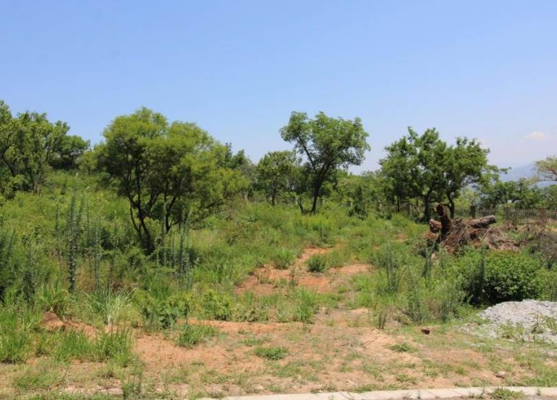 2086 m² Land available in Drum Rock photo number 6
