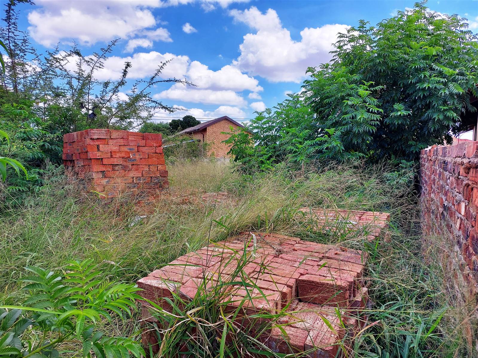 744 m² Land available in Flora Park photo number 3
