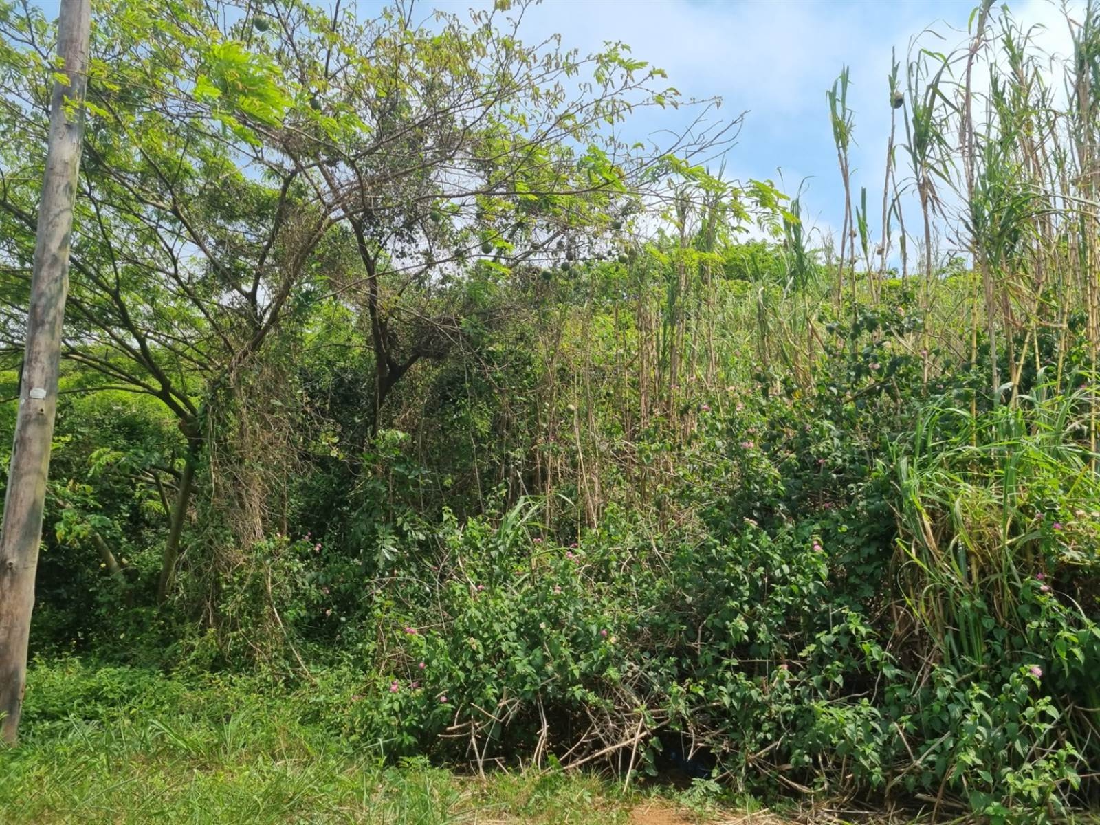 1010 m² Land available in Tongaat Beach photo number 5