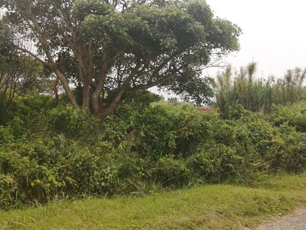 1254 m² Land available in Port Edward