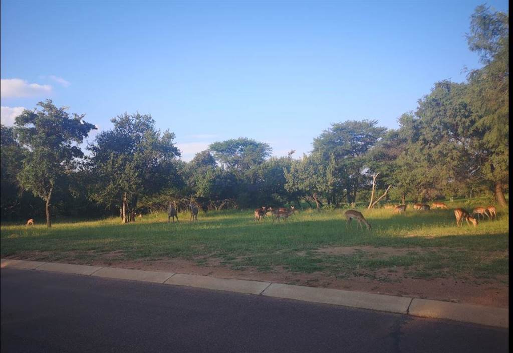 1 ha Land available in Mookgophong (Naboomspruit) photo number 4