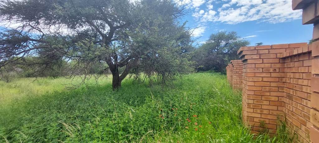 3960 m² Land available in Kuruman photo number 6