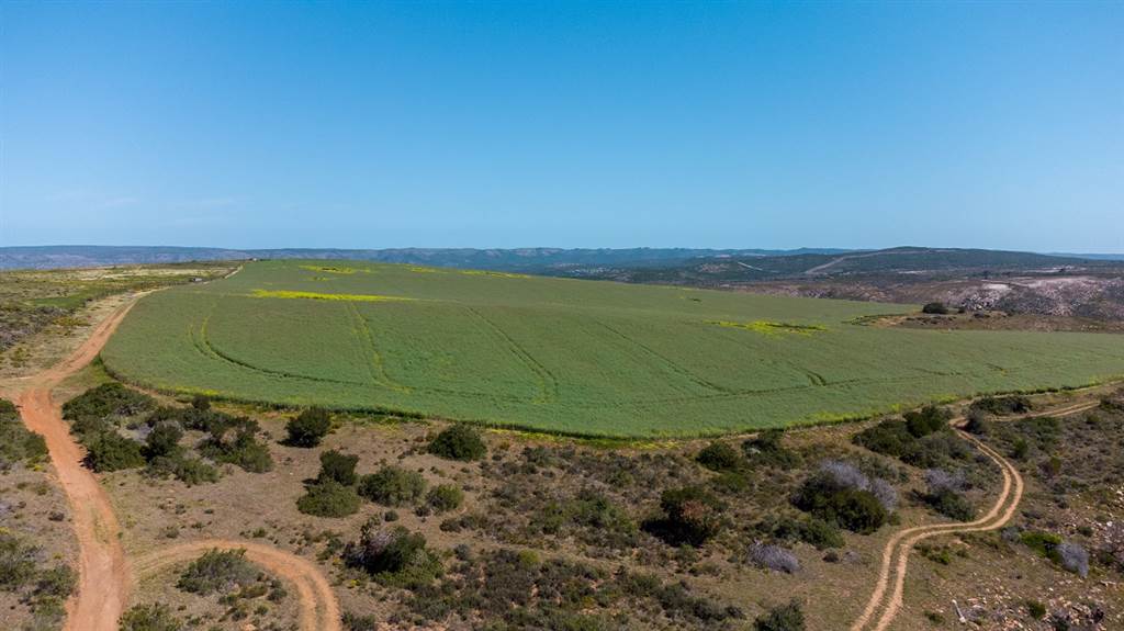 320 ha Farm in Mossel Bay Central photo number 19