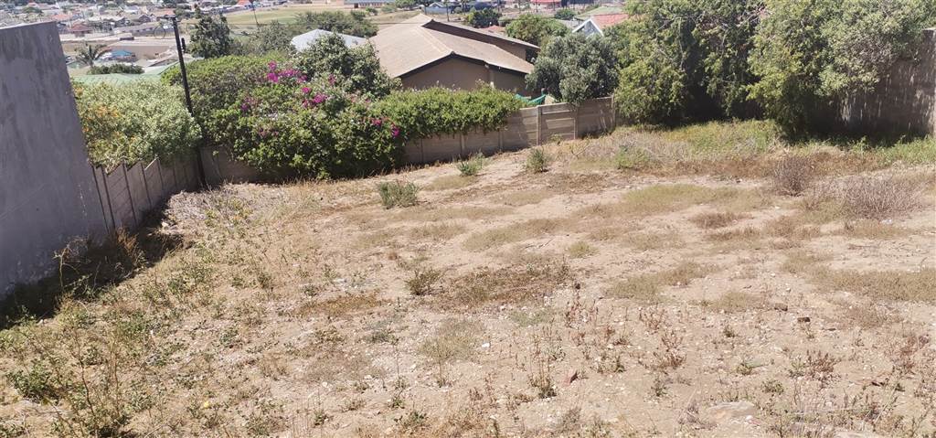 645 m² Land available in Saldanha photo number 3