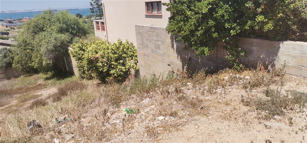645 m² Land available in Saldanha photo number 5
