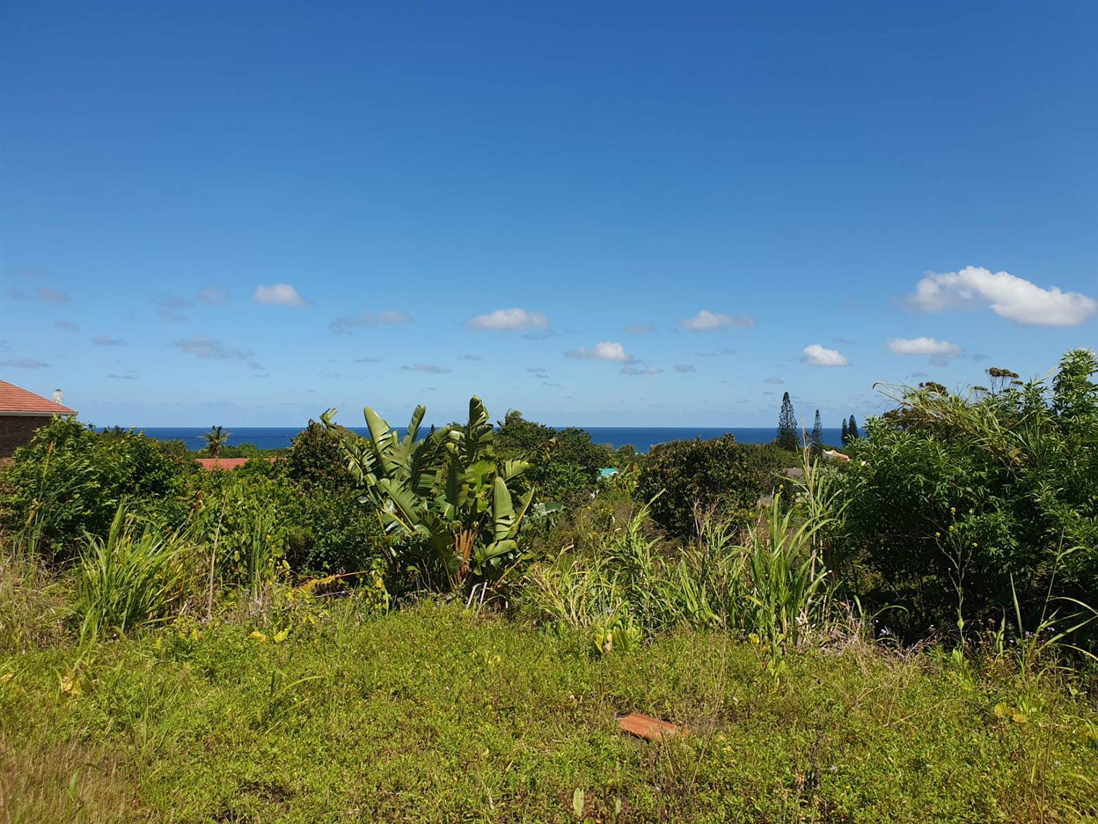 1366 m² Land available in Port Edward photo number 5