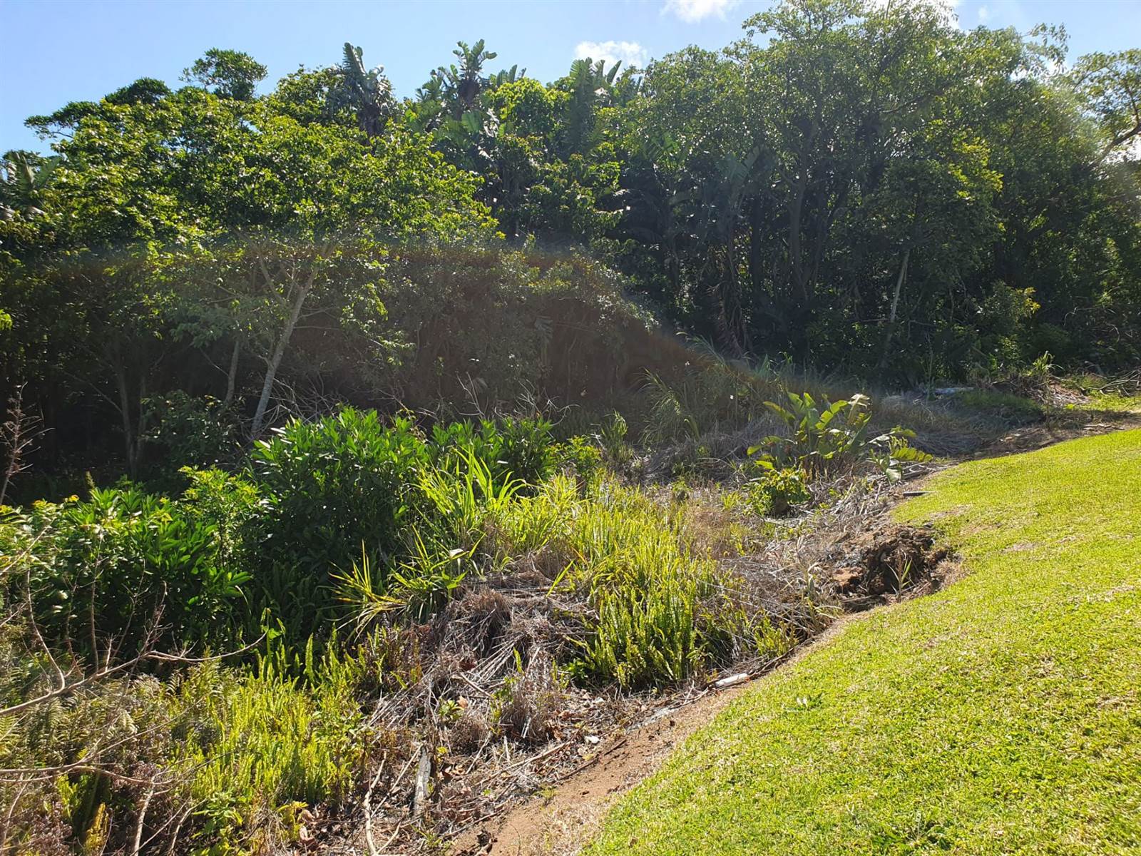 1366 m² Land available in Port Edward photo number 15