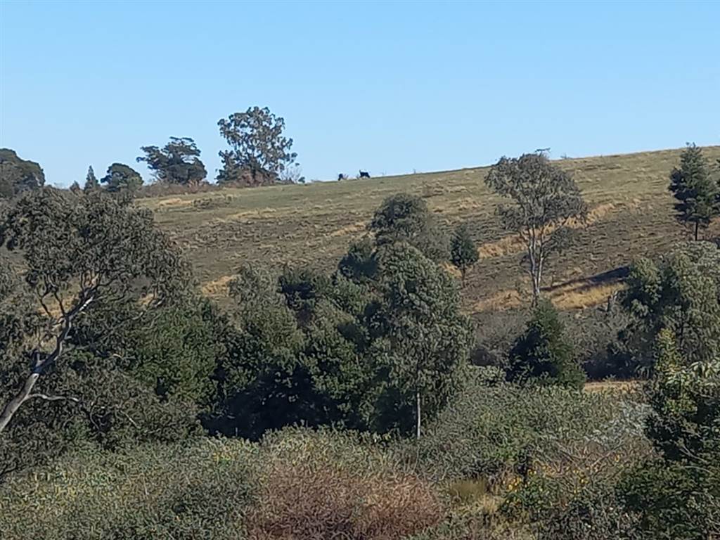 12.7 ha Land available in Cato Ridge photo number 3