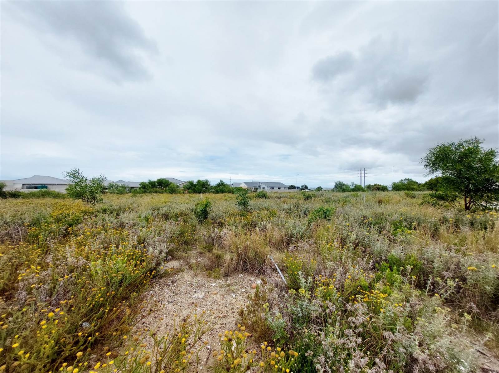 365 m² Land available in Fountains Estate photo number 5