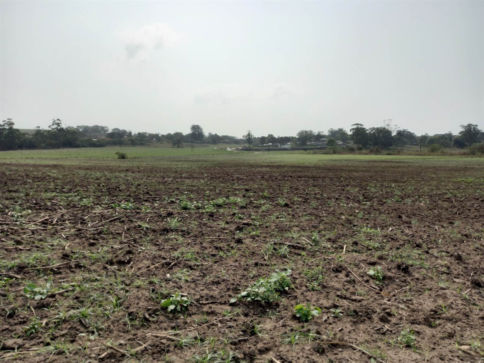 50 ha Farm in Tongaat Central photo number 14