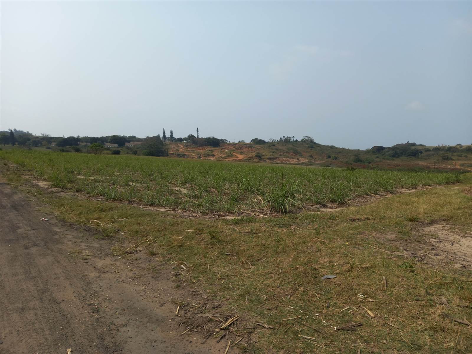 50 ha Farm in Tongaat Central photo number 15