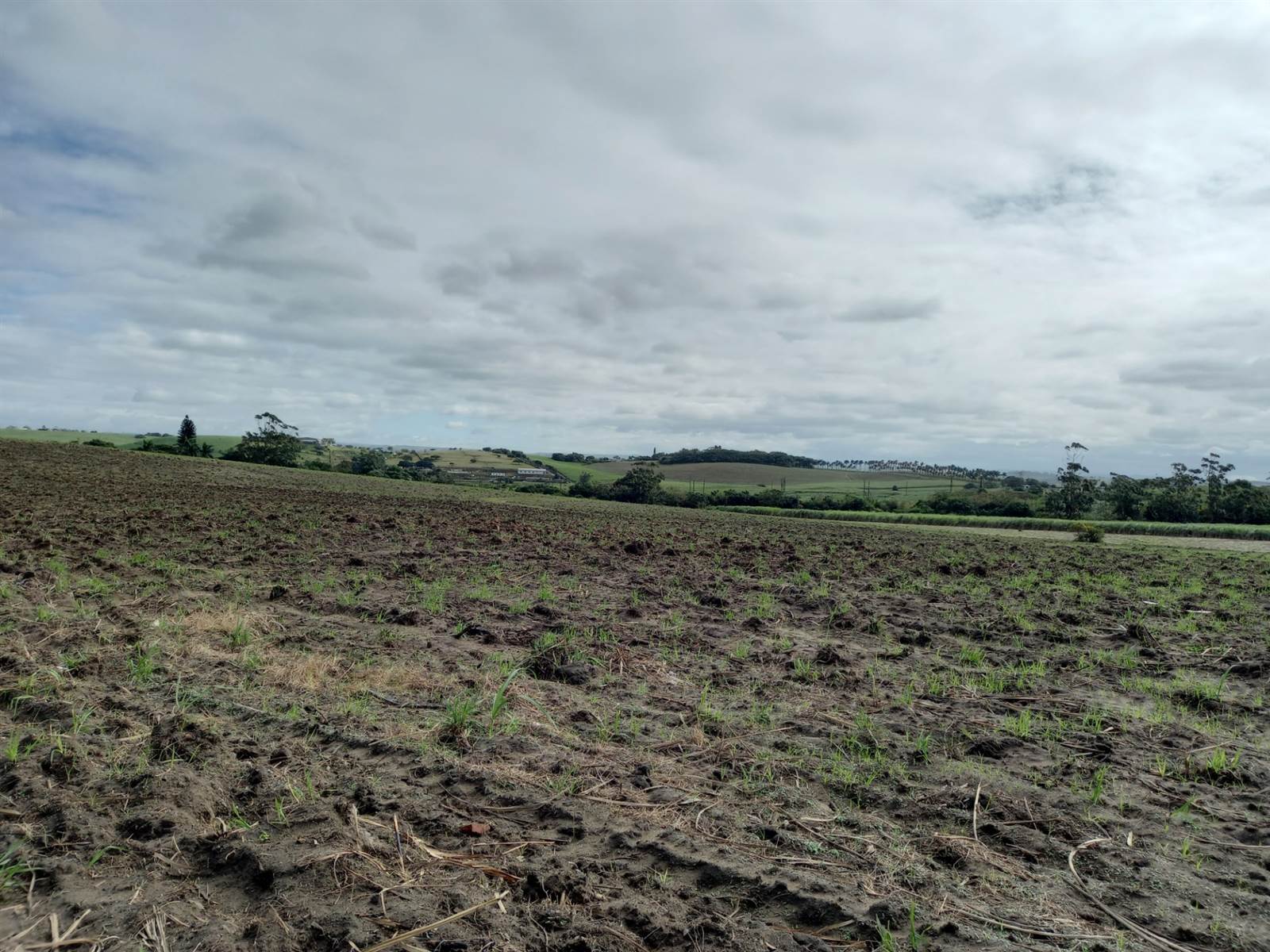 50 ha Farm in Tongaat Central photo number 1