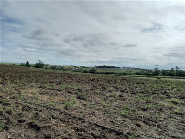 50 ha Farm in Tongaat Central