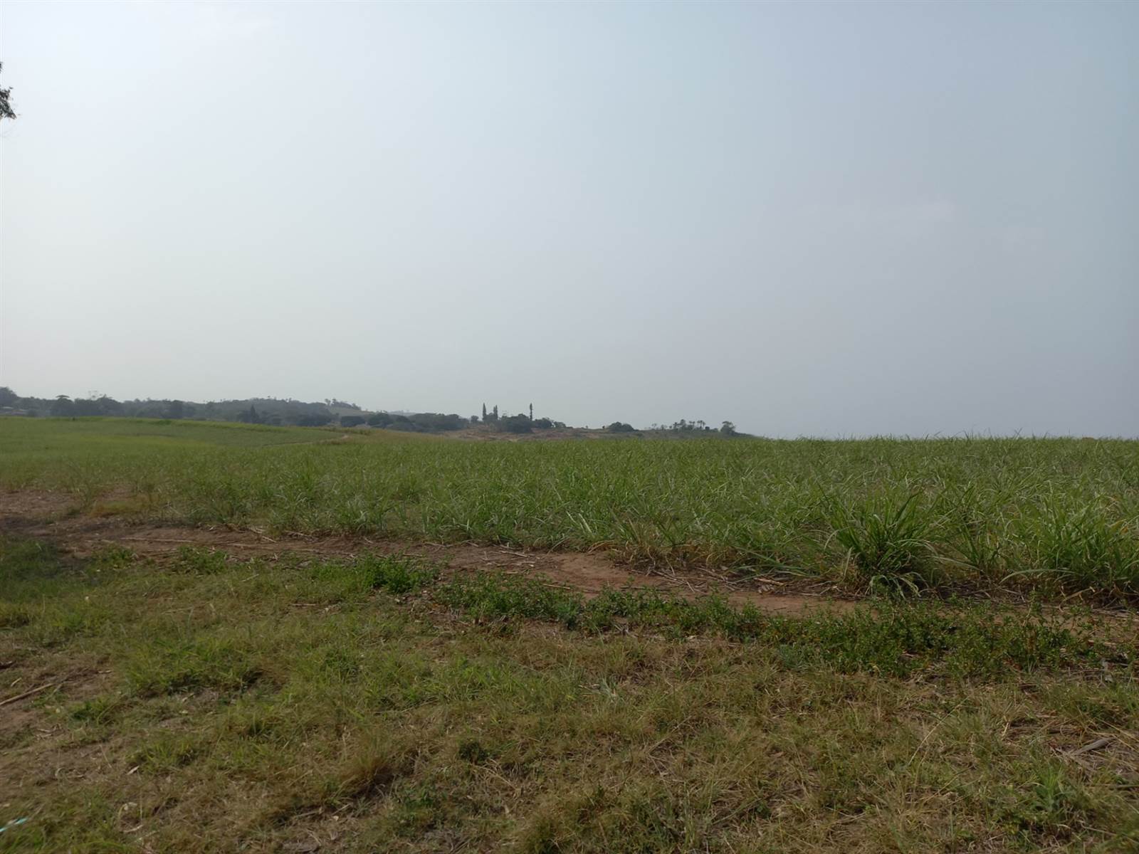 50 ha Farm in Tongaat Central photo number 19
