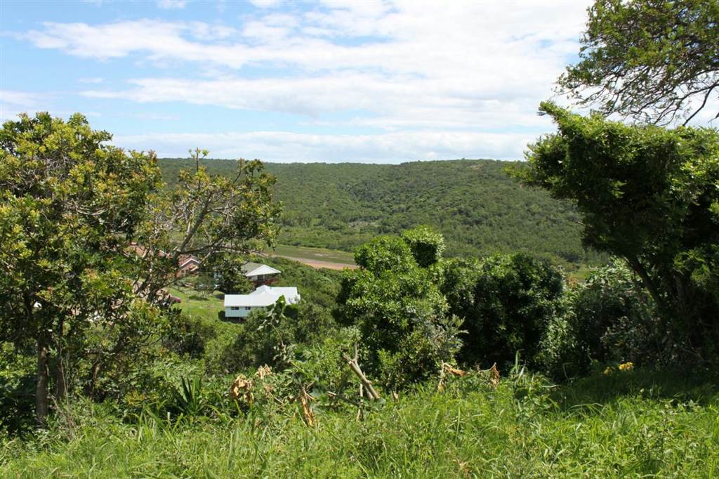 1319 m² Land available in Cintsa photo number 2