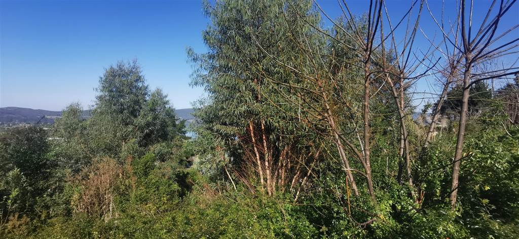 1726 m² Land available in Old Place photo number 3