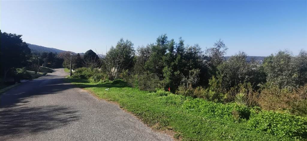 1726 m² Land available in Old Place photo number 14