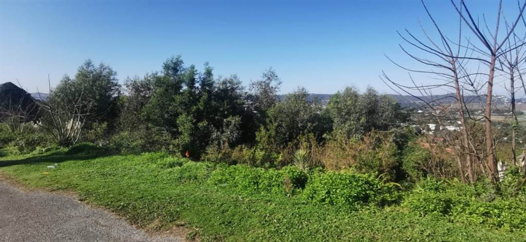 1726 m² Land available in Old Place photo number 13