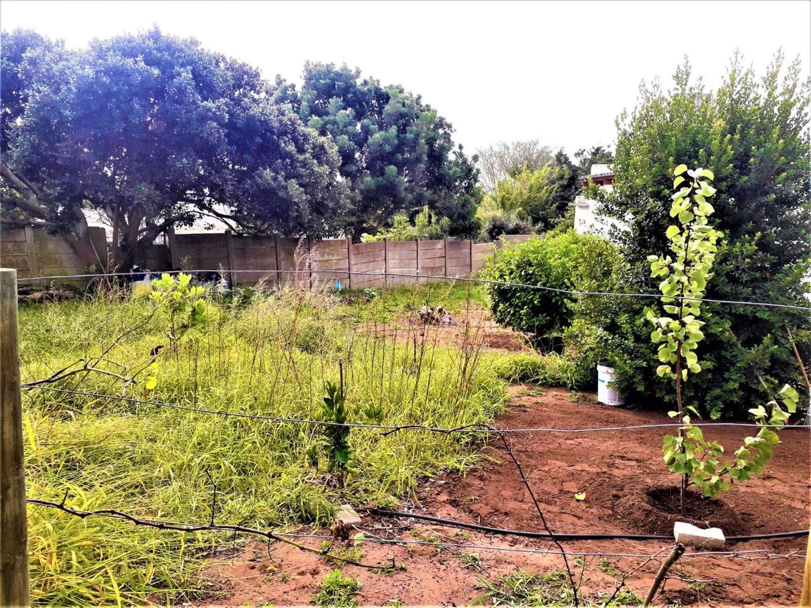 1250 m² Land available in Mossel Bay Central photo number 4