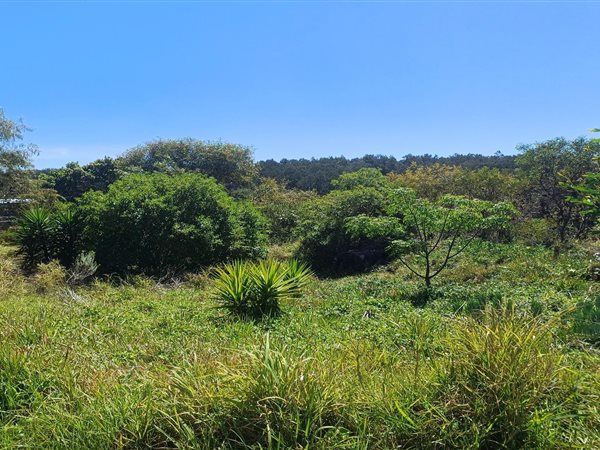 936 m² Land 936 m² Land