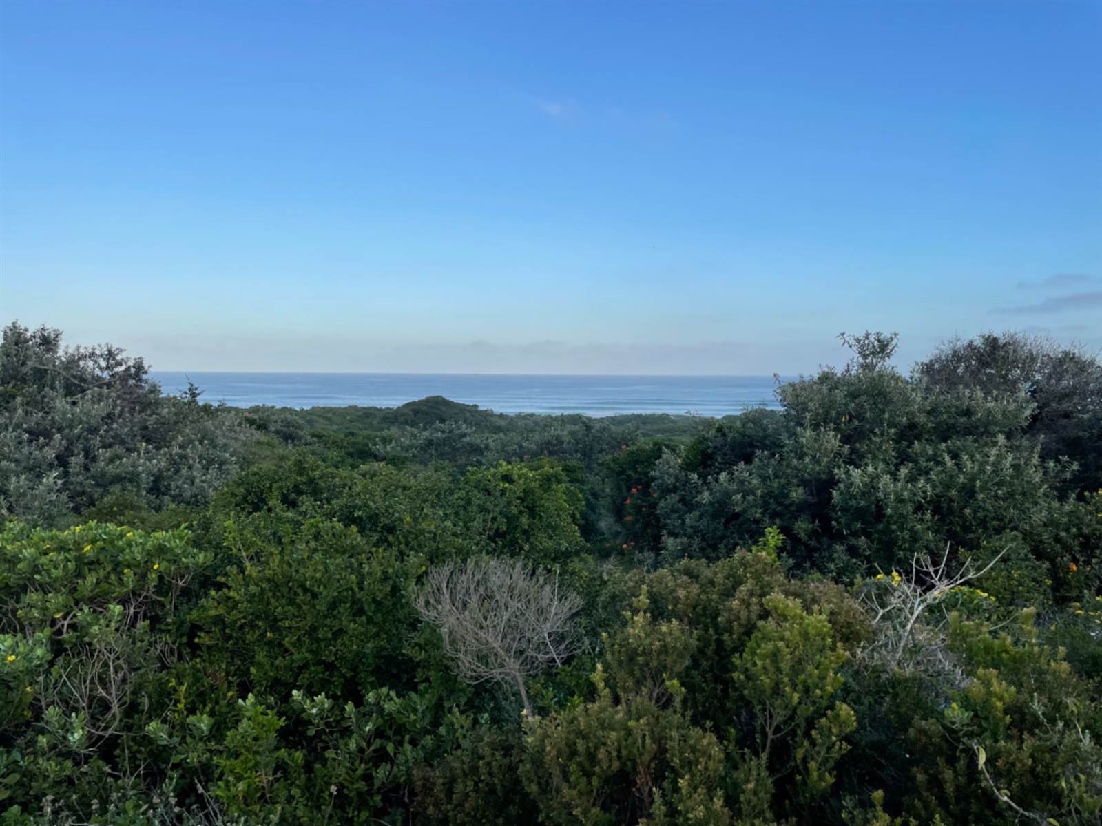963 m² Land available in Cannon Rocks photo number 6