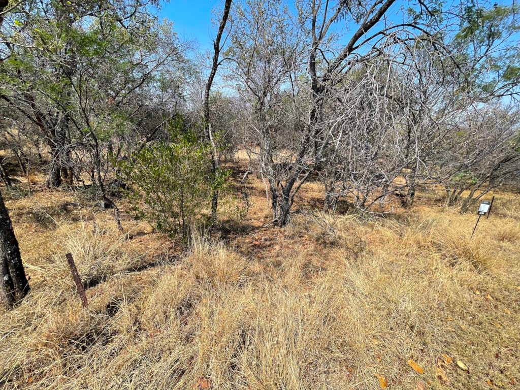 1350 m² Land available in Koro Creek Golf Estate photo number 1