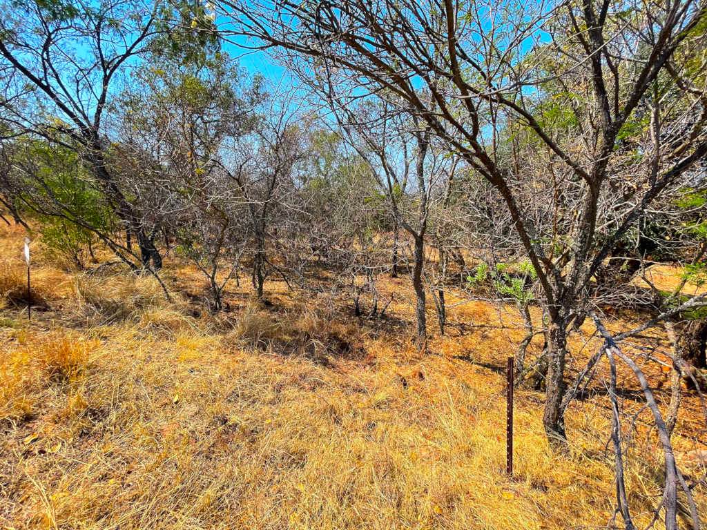 1350 m² Land available in Koro Creek Golf Estate photo number 2