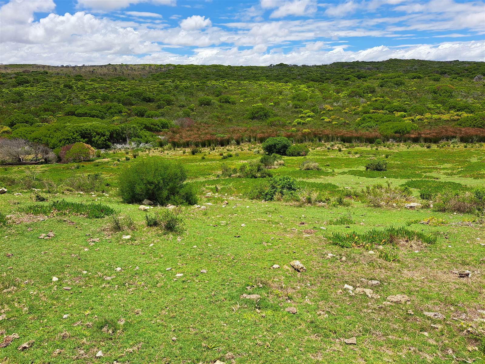 576 ha Farm in Stilbaai photo number 28